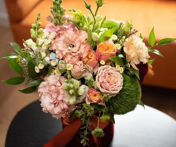 Schoeps By Renters 4*