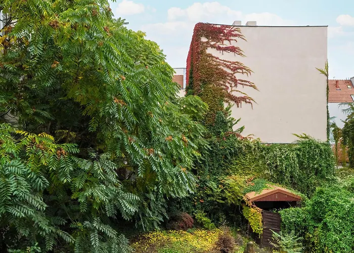 Schoeps By Renters 4*