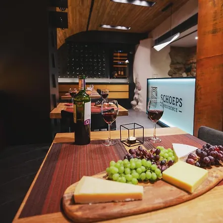 Schoeps 公寓式酒店 波兹南